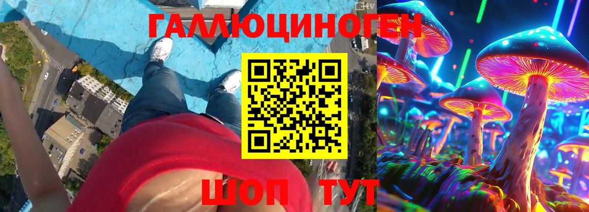 Галлюциногенные грибы Magic Shrooms  продажа наркотиков  Нижнеудинск  Вход с VPN 